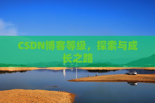 CSDN博客等级,探索与成长之路